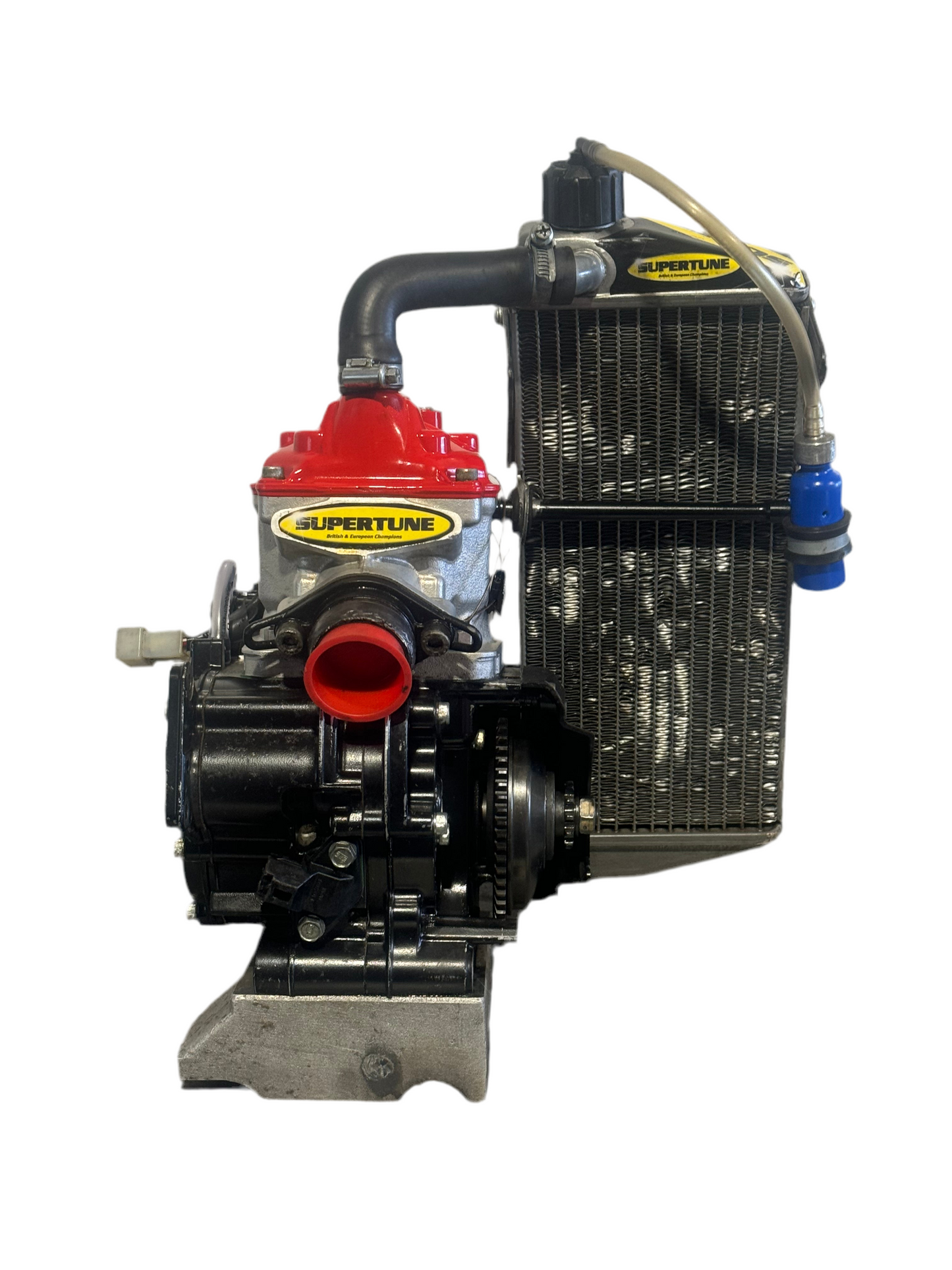 Junior Rotax Max Engine