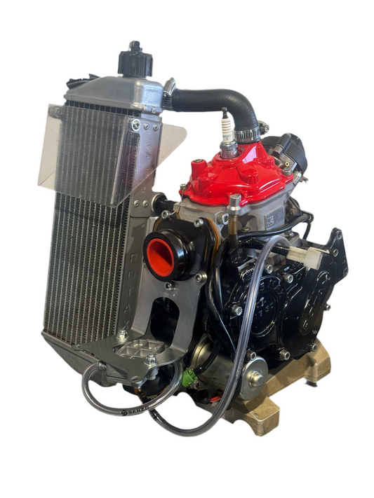 Rotax Max Evo Senior Engine (new cylinder)