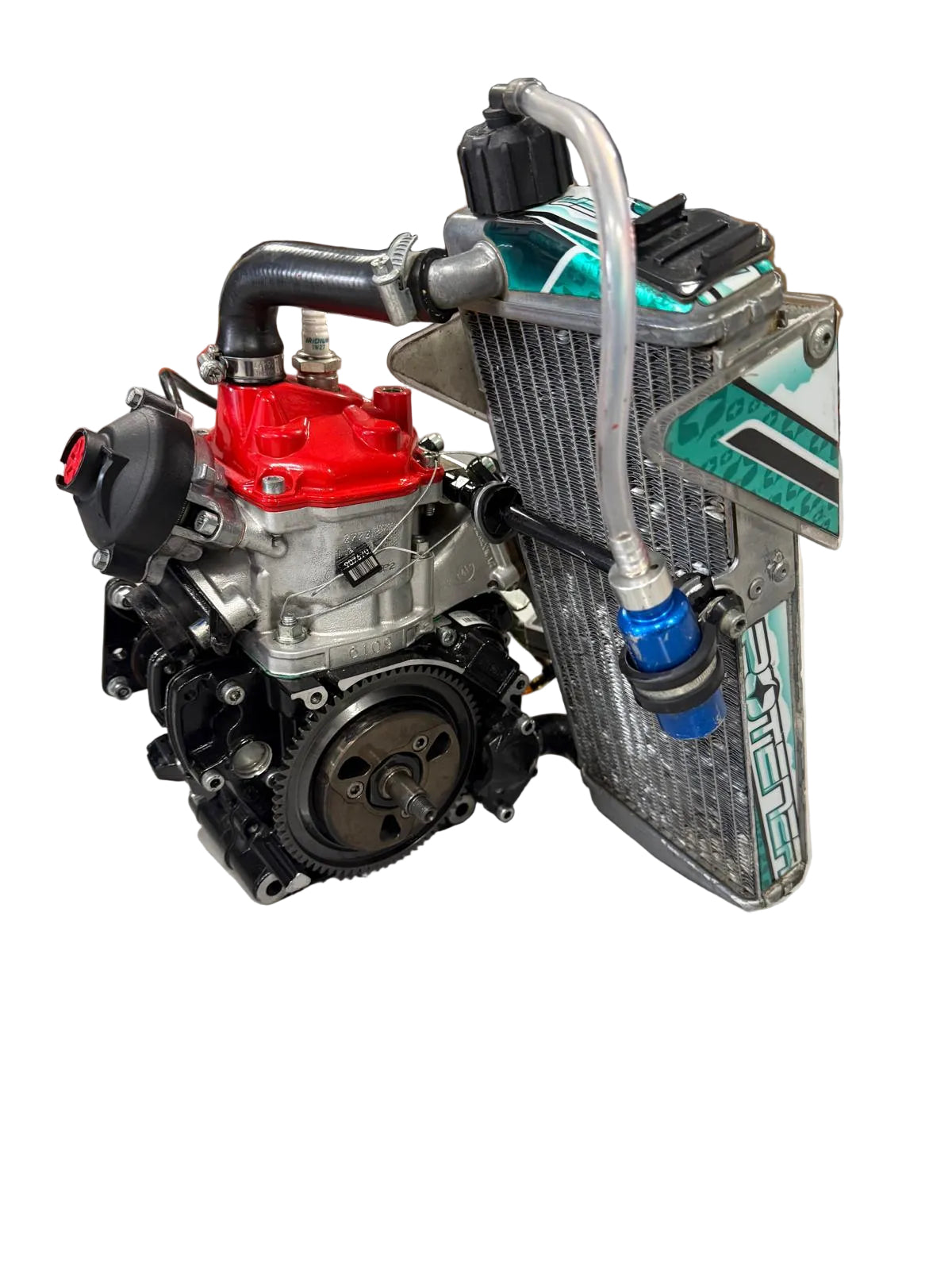 Rotax Max Senior Evo Engine