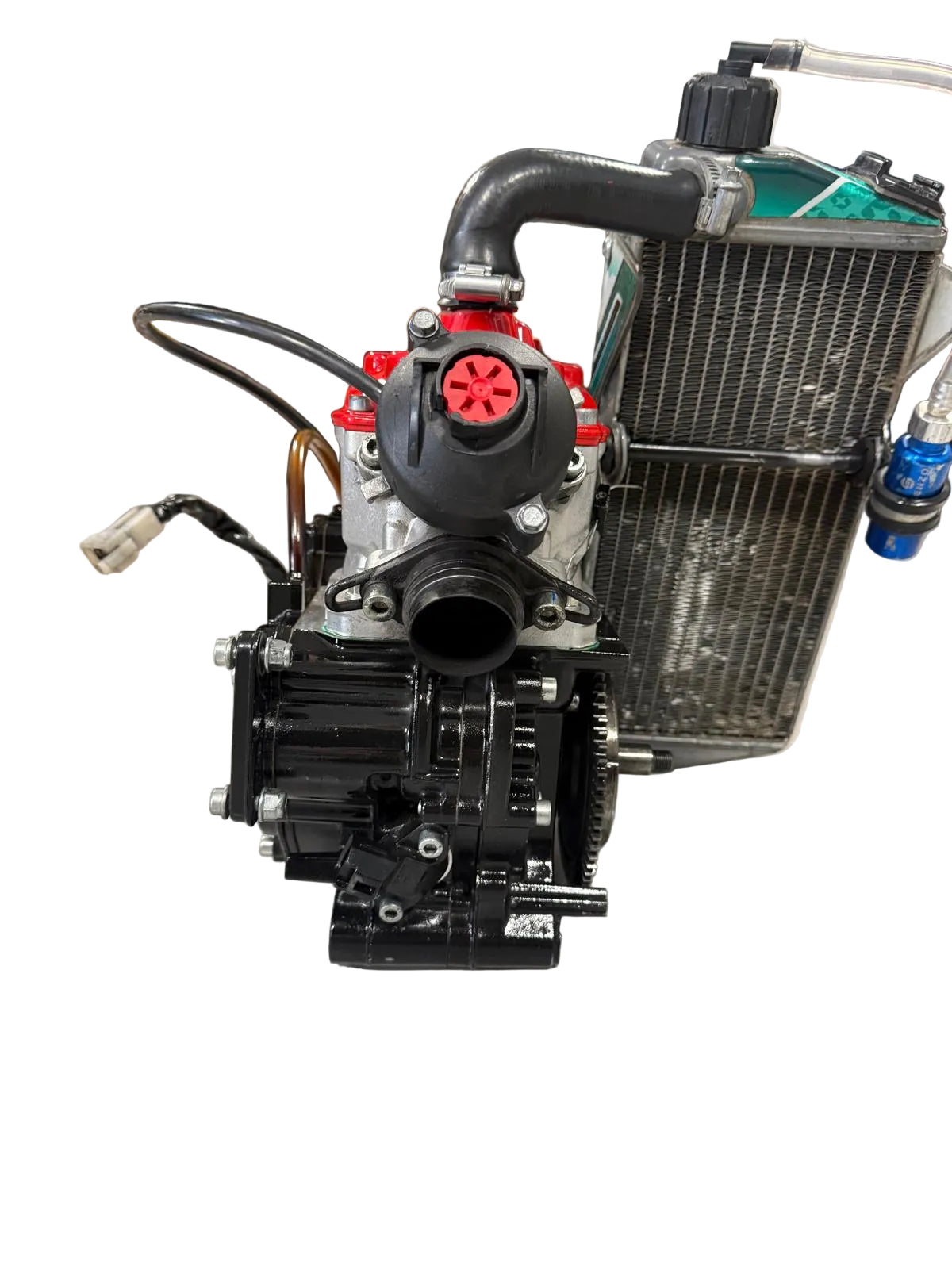 Rotax Max Senior Evo Engine