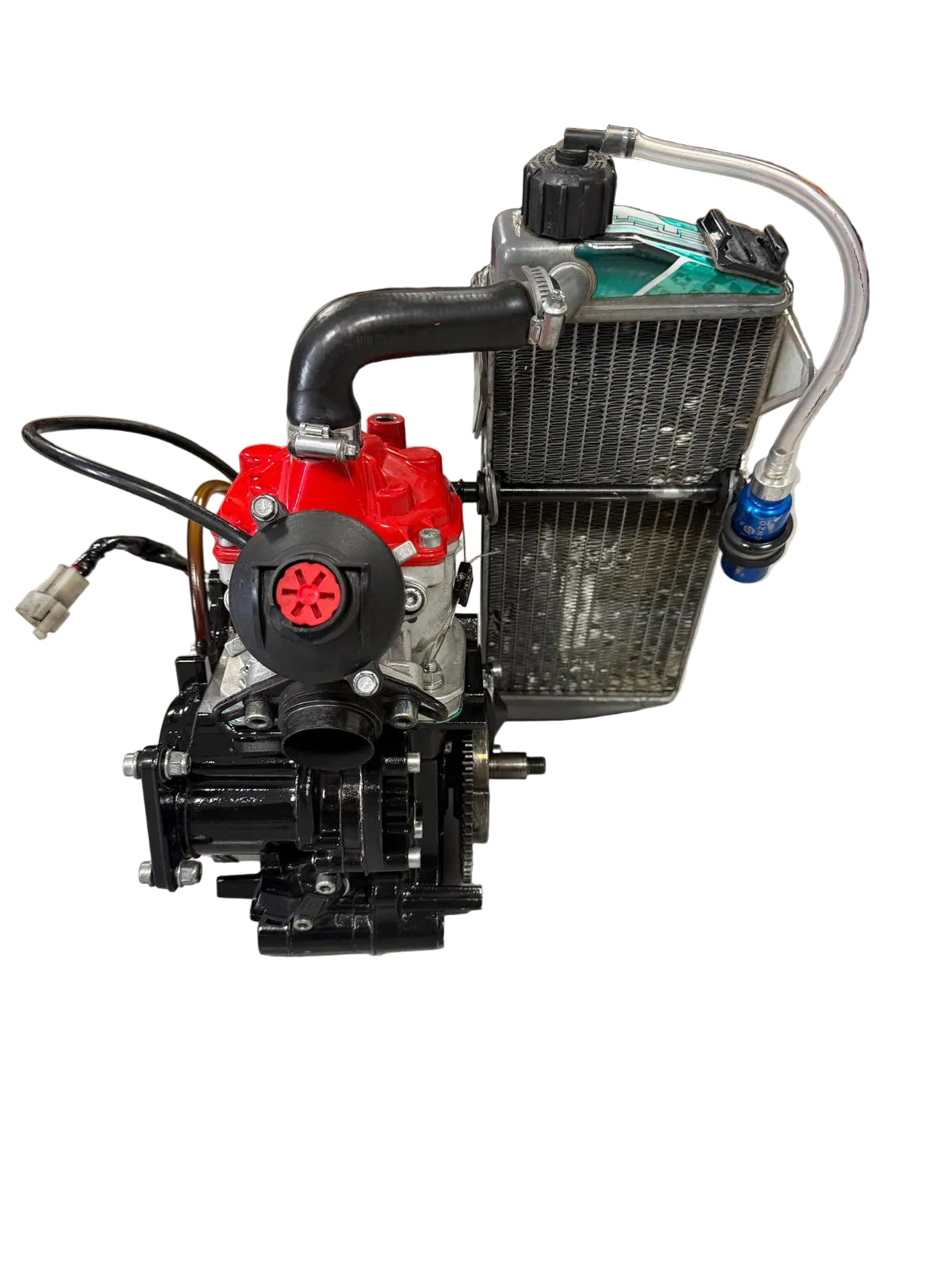 Rotax Max Senior Evo Engine