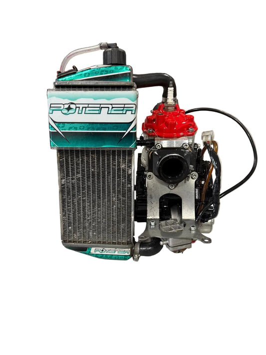 Rotax Max Senior Evo Engine