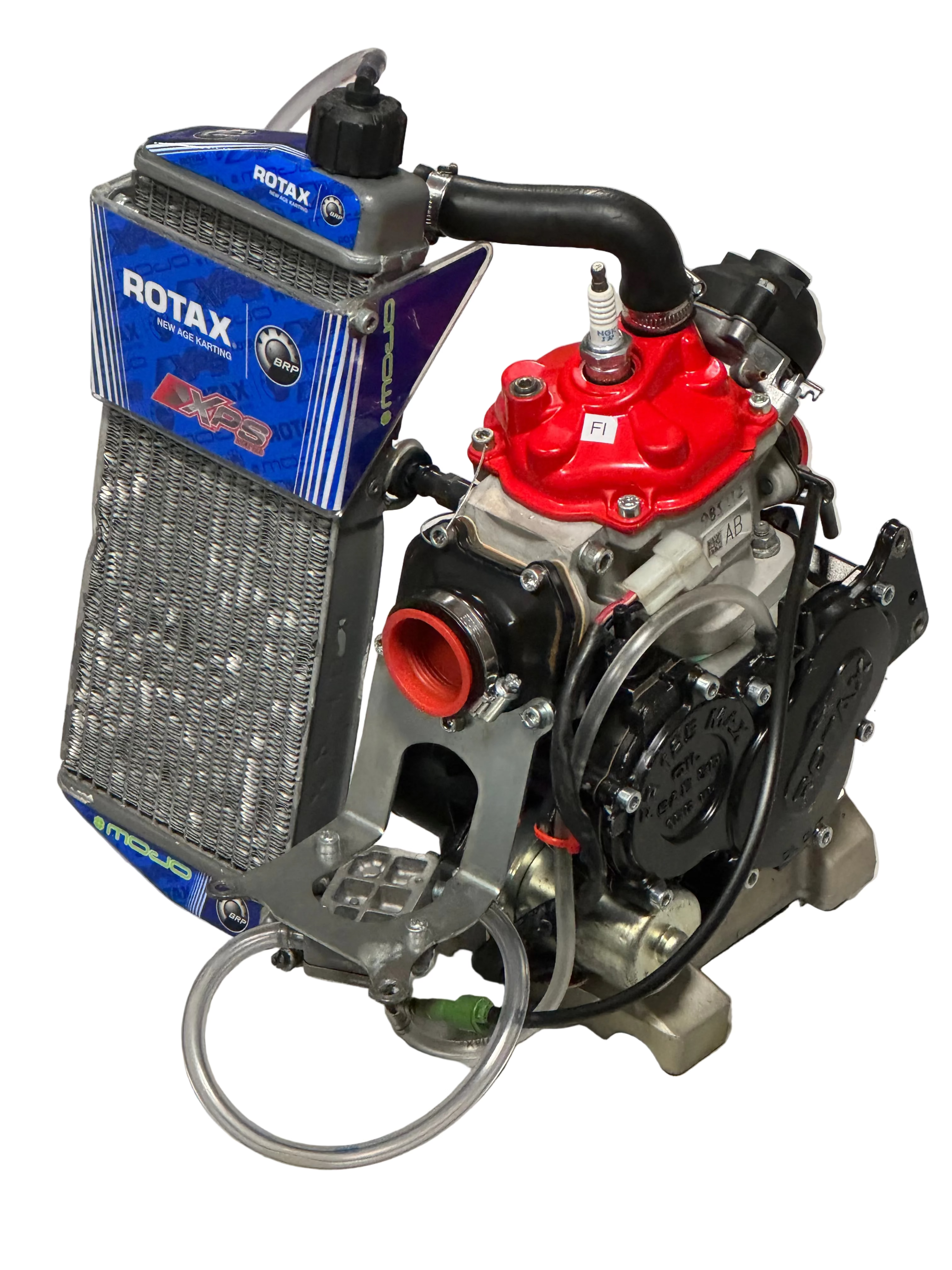 Rotax Racing Engines Senior Rotax Max Evo Engine - Fresh – Used Kart Shop