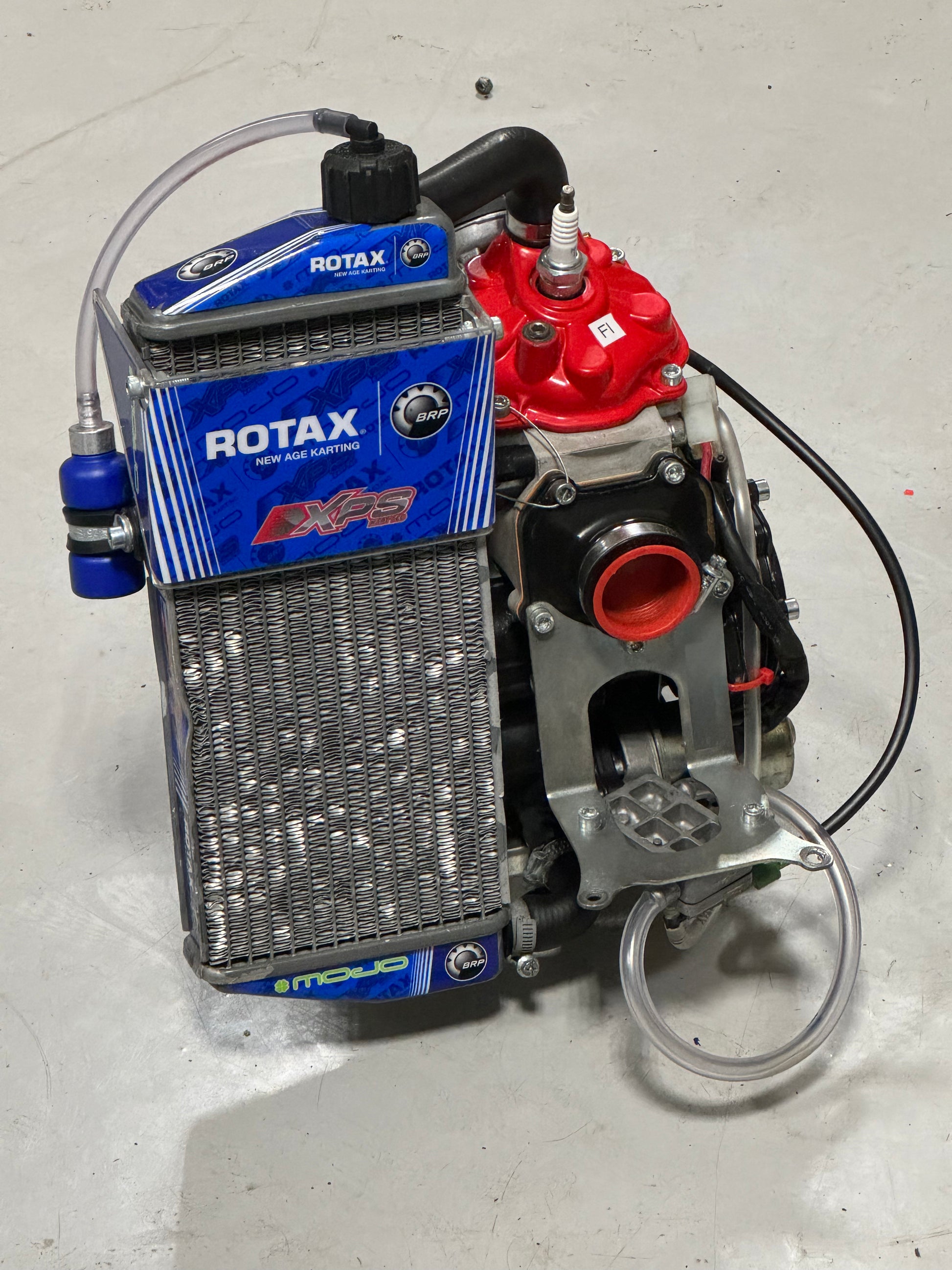 Root Rox Engine Senior Rotax Max Evo Engine - Fresh – Used Kart Shop