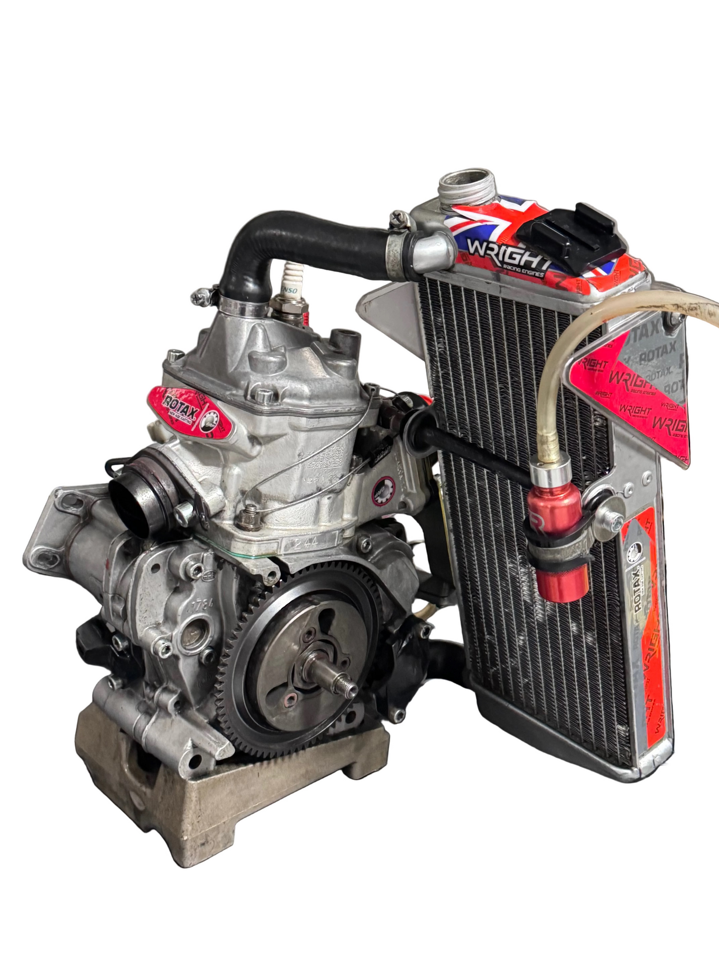 Rotax Max Junior Evo Engine