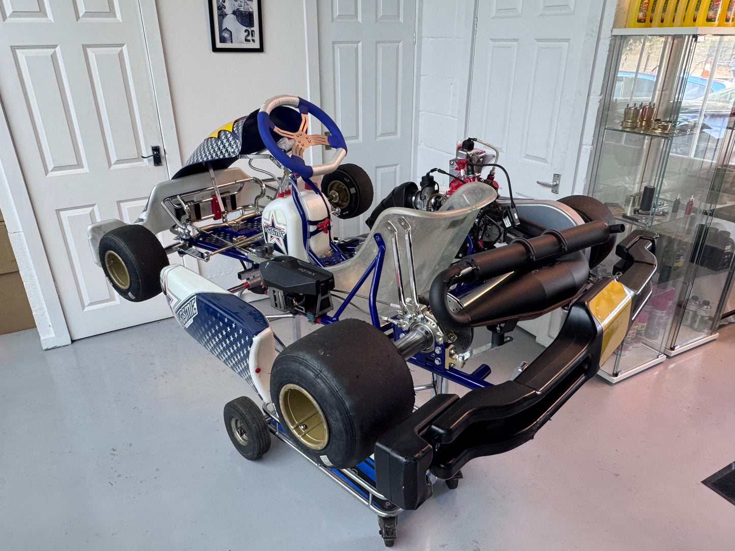 2026 OTK Kosmic Mercury Senior Rotax Max Evo Kart - 4 days old!