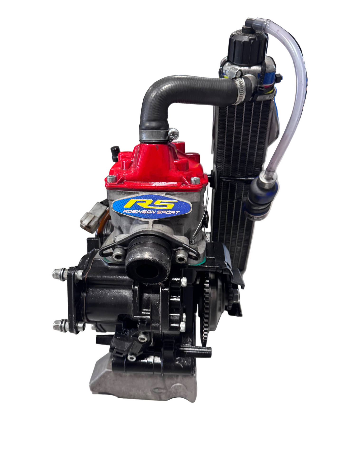 Rotax Max Mini Inter Evo Engine