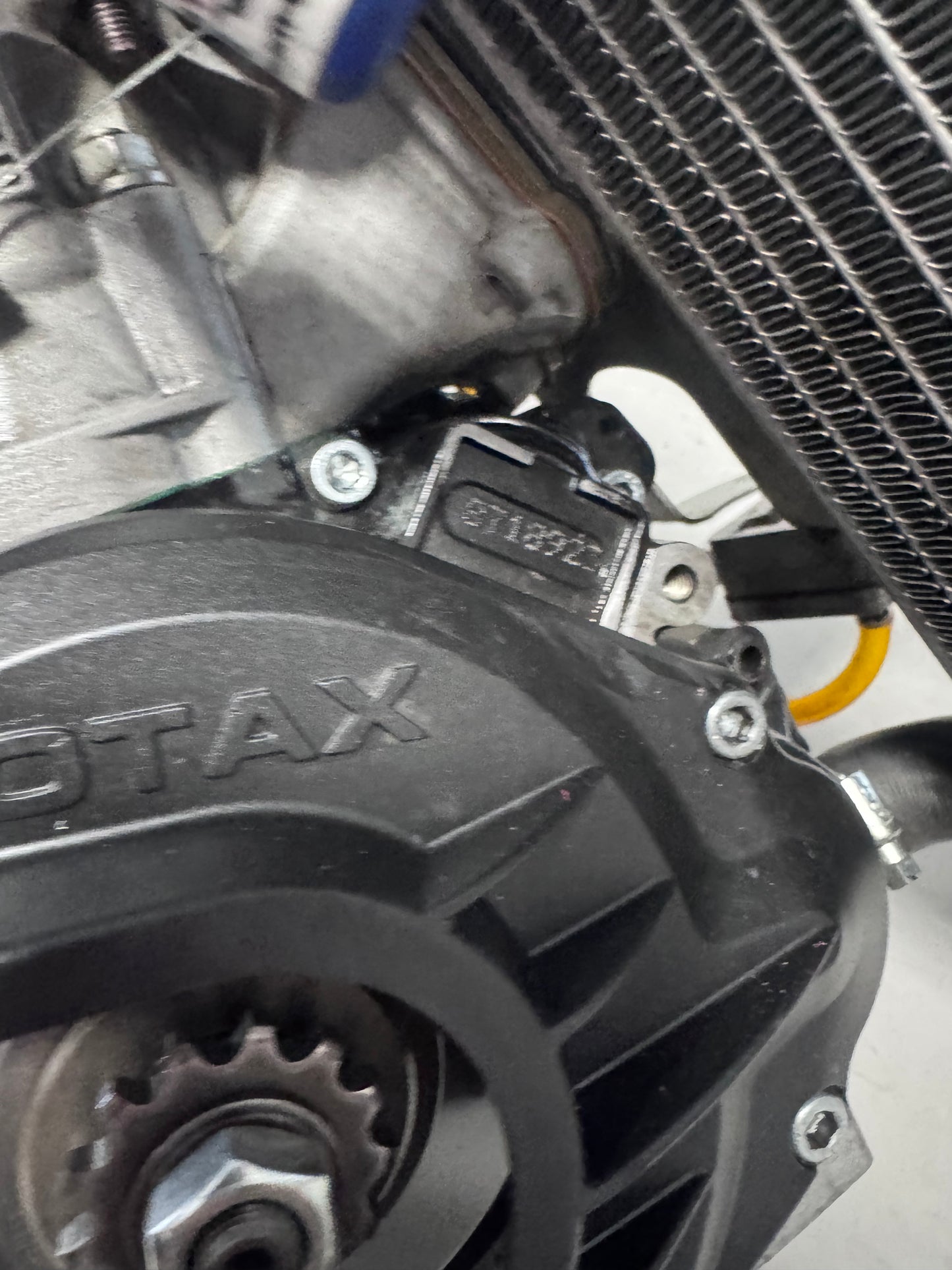 Rotax Max Mini Inter Evo Engine