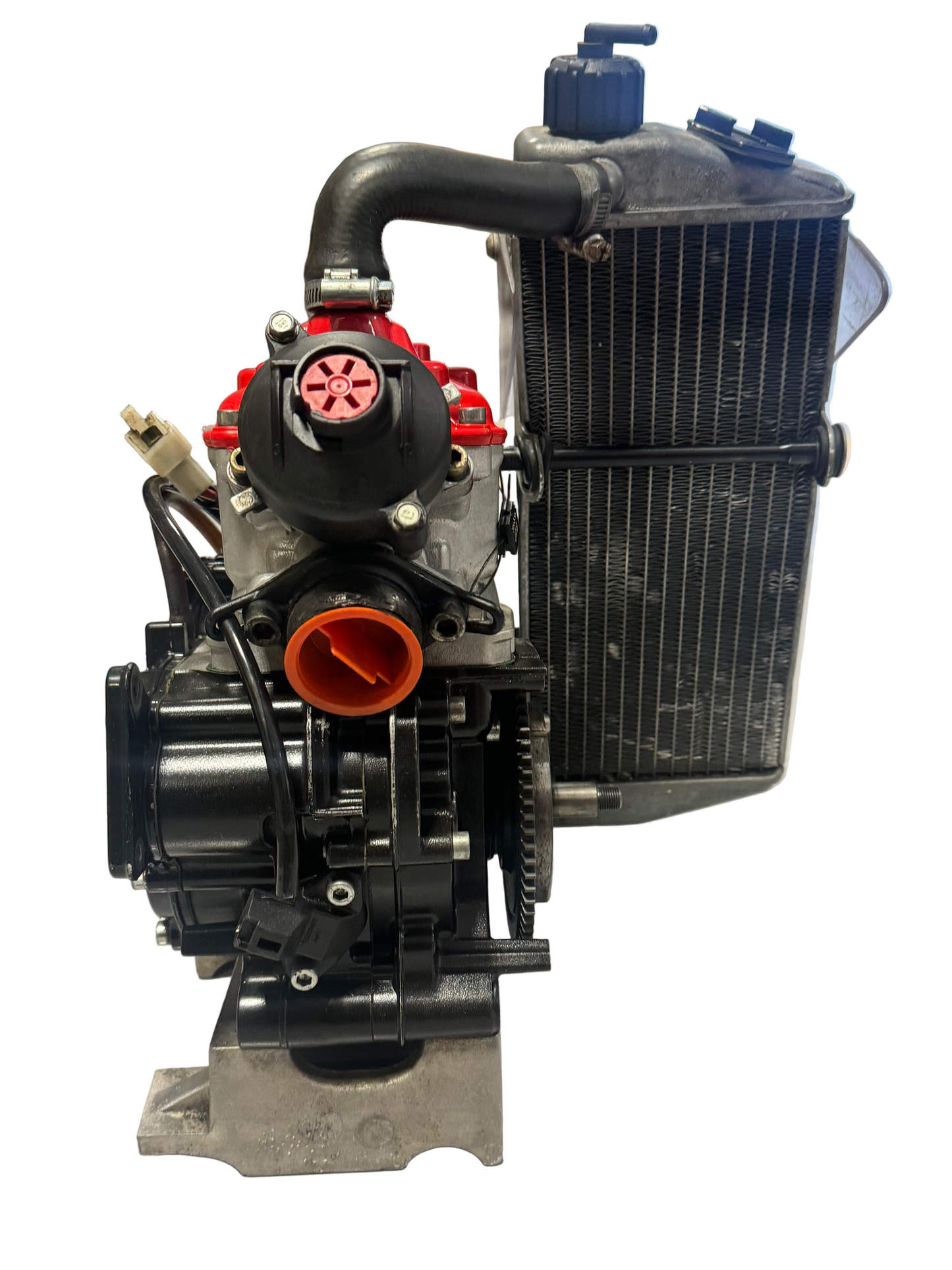 Rotax Max Senior Evo Engine