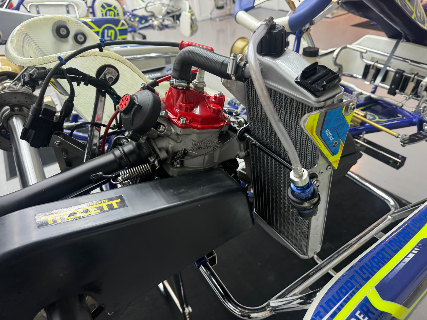 OTK Lando Norris Rotax Max Senior Evo Kart
